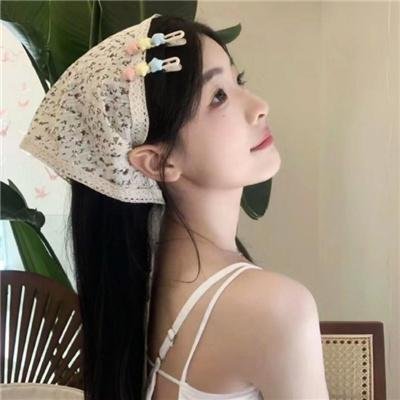 荷兰镇